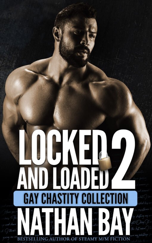 Locked and Loaded 2 by Nathan Bay