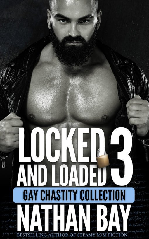 Locked and Loaded 3 by Nathan Bay