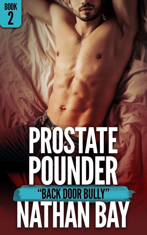 Prostate Pounder 2: Back Door Bully by Nathan Bay