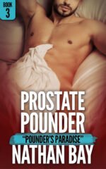 Prostate Pounder 3: Pounders Paradise by Nathan Bay