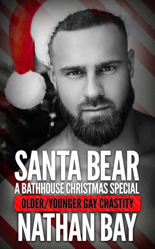 Santa Bear by Nathan Bay