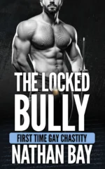 The Locked Bully by Nathan Bay