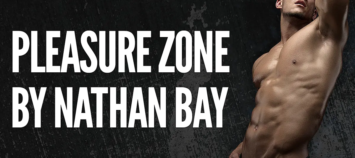 Pleasure Zone by Nathan Bay